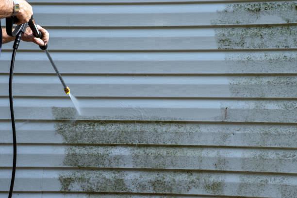 Best Siding Removal and Disposal  in Remlap, AL