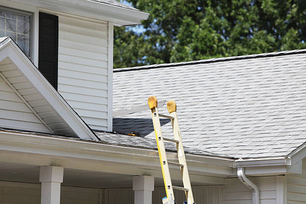 Best Historical Building Siding Restoration  in Remlap, AL