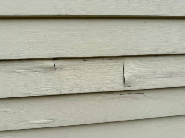 Affordable siding repair and maintenance services in Remlap, AL